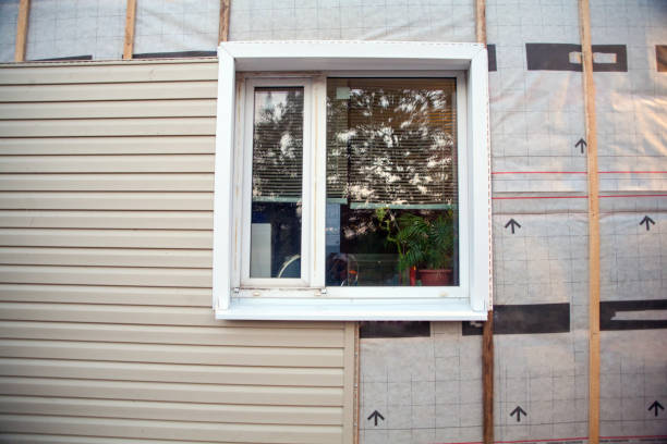 Best Hoarding Cleanup  in Carroll, IA